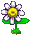 {{Fête}}